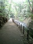 080522_1538~0001.jpg